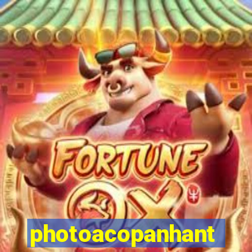 photoacopanhante.