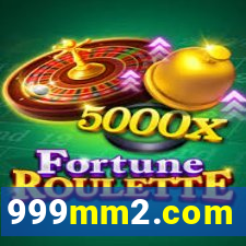 999mm2.com