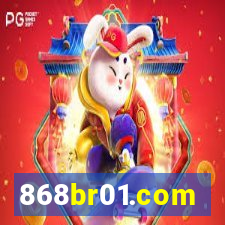 868br01.com