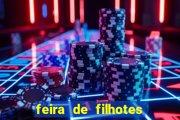 feira de filhotes porto alegre