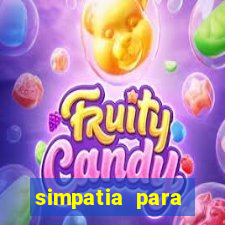 simpatia para ganhar na loteria com folha de louro