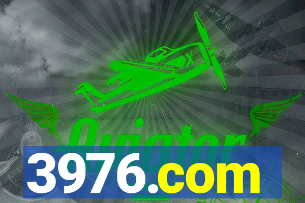 3976.com