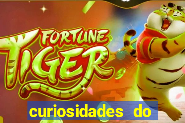 curiosidades do egito atual