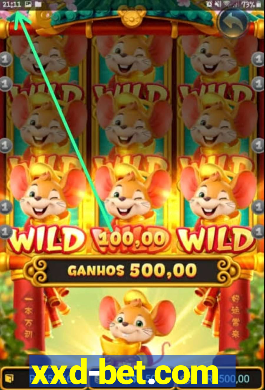 xxd-bet.com