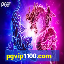 pgvip1100.com