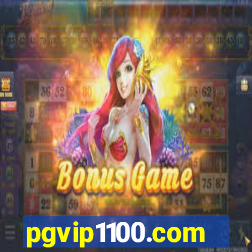 pgvip1100.com
