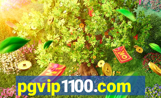 pgvip1100.com