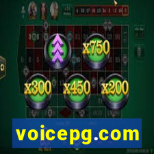 voicepg.com