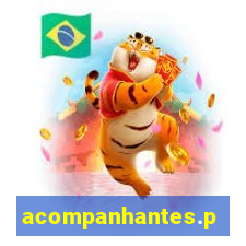 acompanhantes.pvh