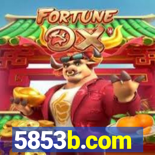 5853b.com