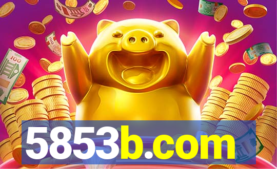 5853b.com