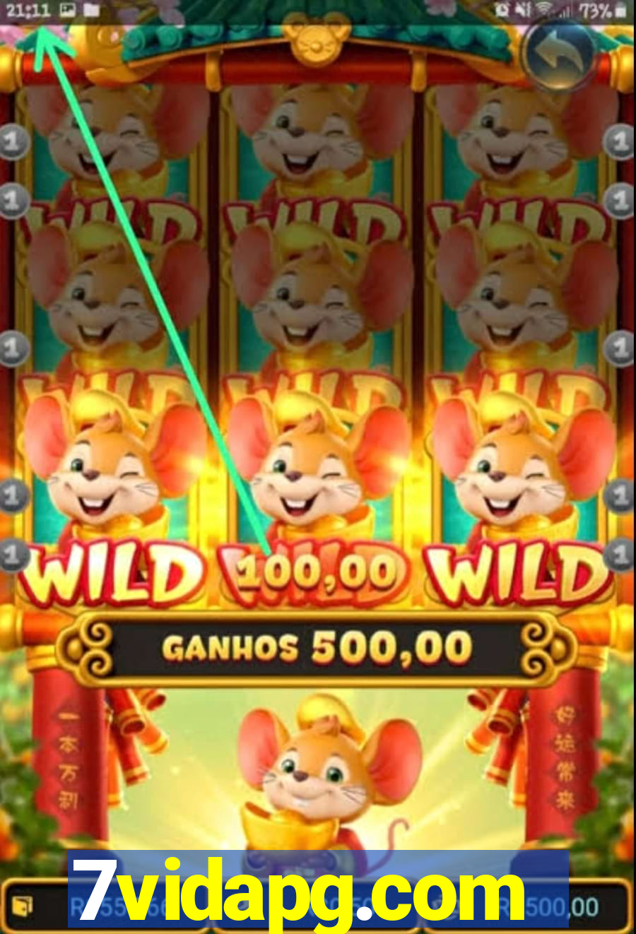 7vidapg.com
