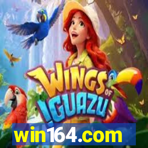 win164.com