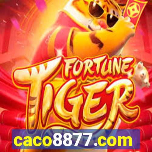 caco8877.com