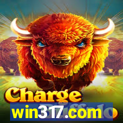 win317.com