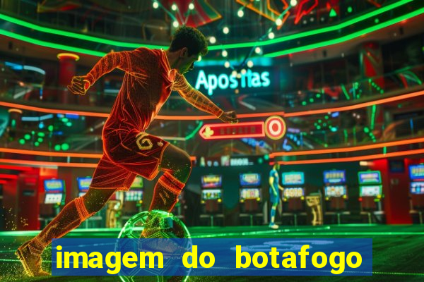 imagem do botafogo zuando o palmeiras
