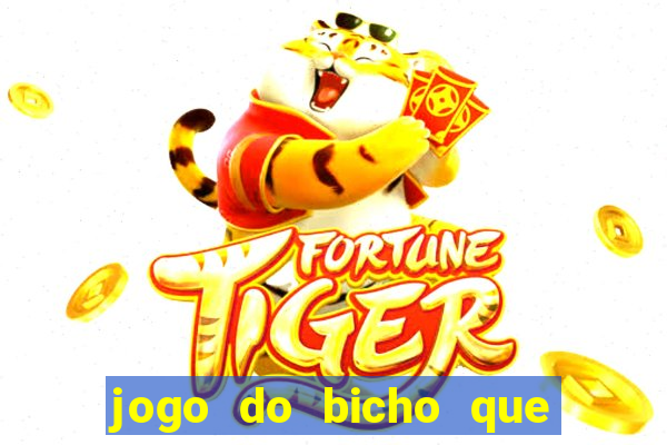 jogo do bicho que paga no pix