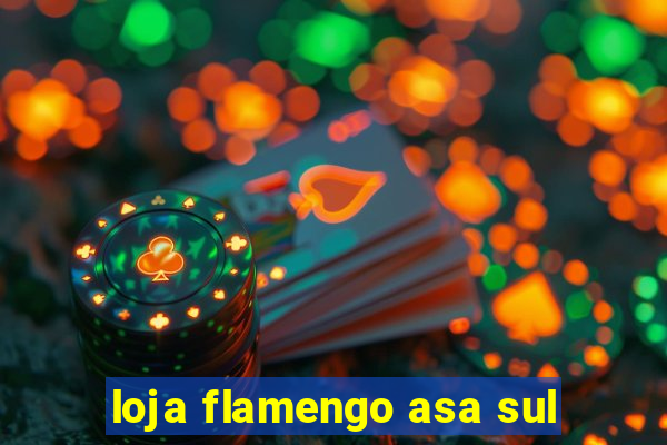 loja flamengo asa sul