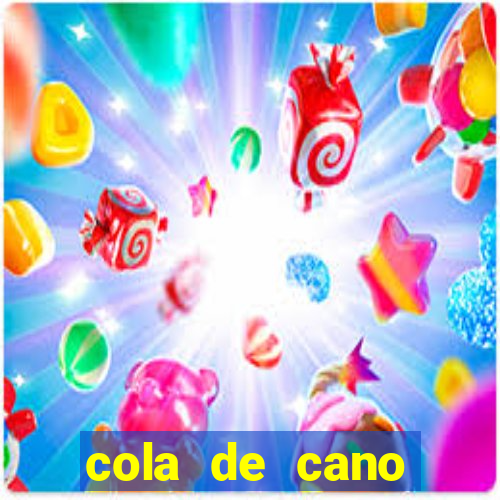 cola de cano quanto tempo para secar