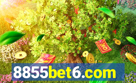8855bet6.com