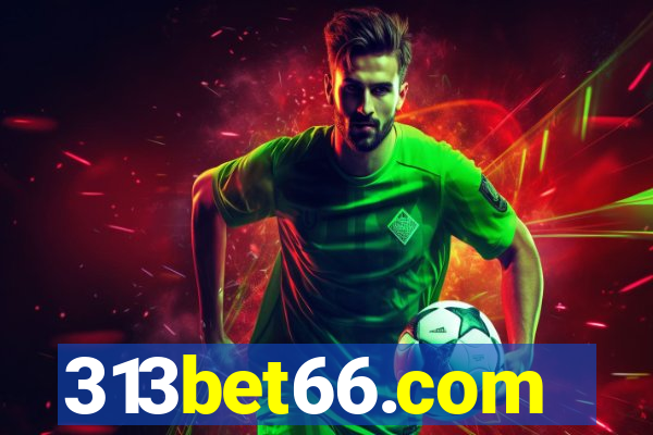 313bet66.com