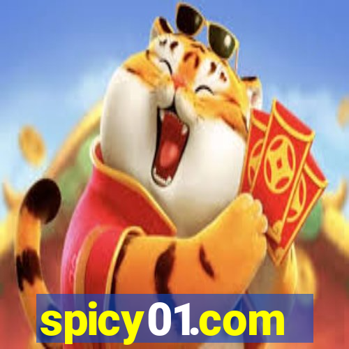 spicy01.com