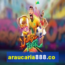 araucaria888.com