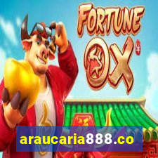 araucaria888.com