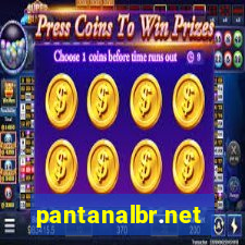 pantanalbr.net