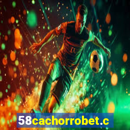 58cachorrobet.com