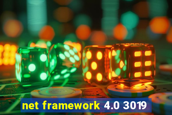 net framework 4.0 3019