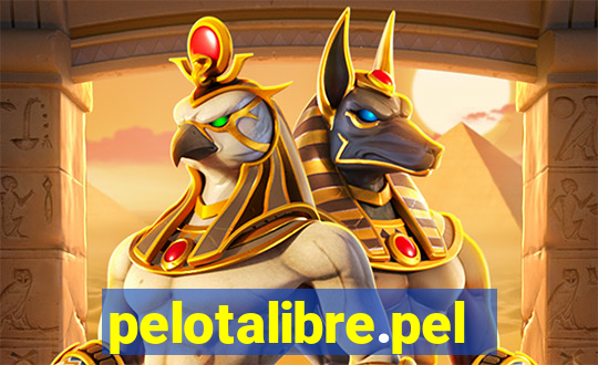 pelotalibre.pelota