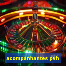 acompanhantes pvh
