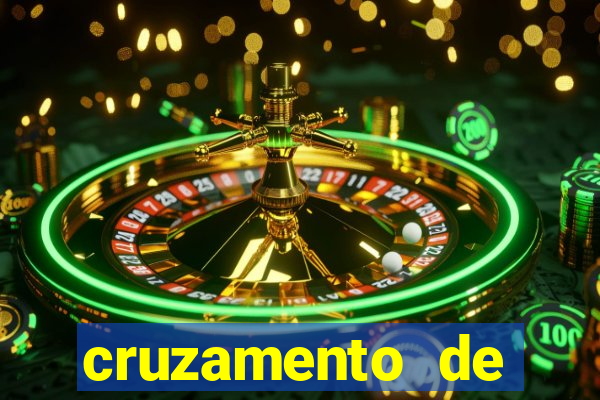 cruzamento de cavalo com mula