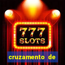 cruzamento de cavalo com mula