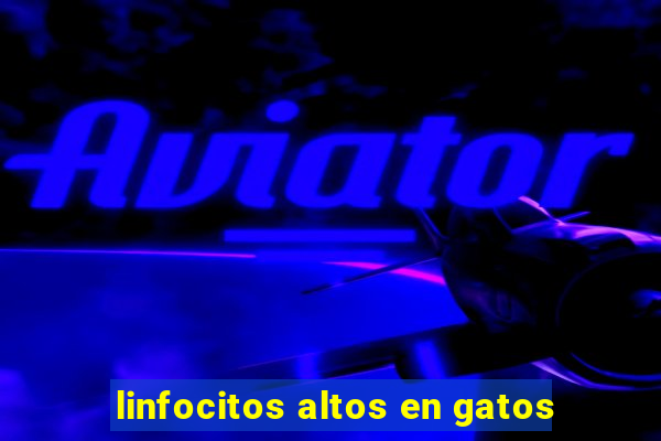 linfocitos altos en gatos