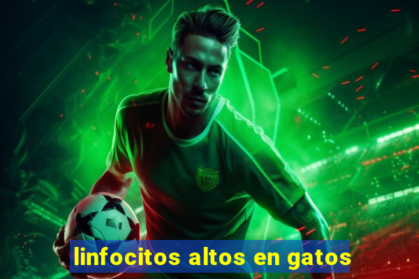 linfocitos altos en gatos