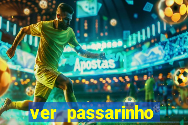 ver passarinho morto significado
