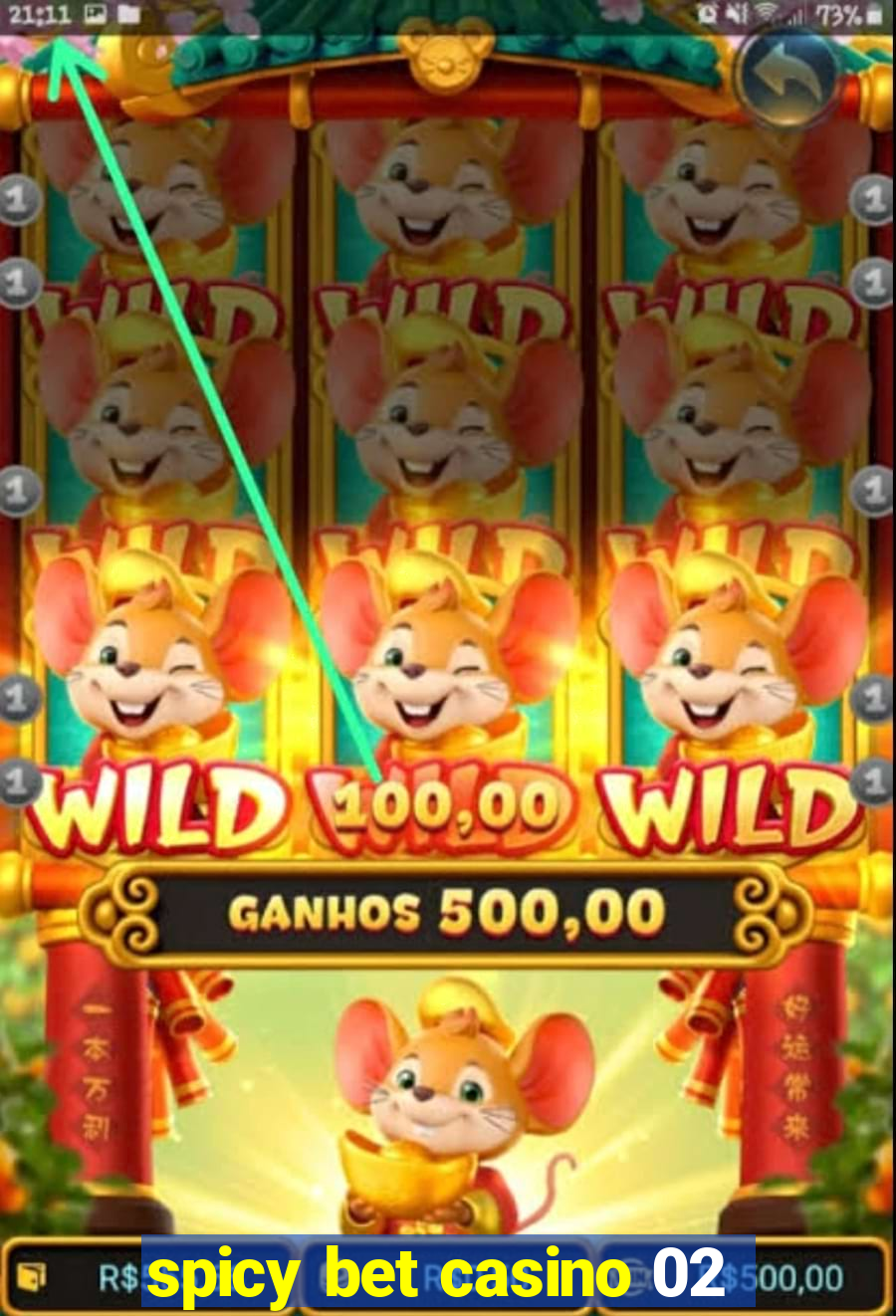 spicy bet casino 02