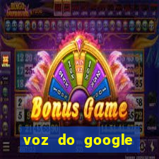 voz do google tradutor homem