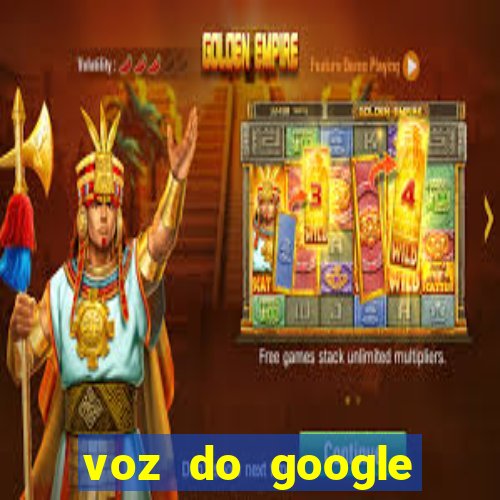 voz do google tradutor homem