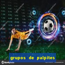 grupos de palpites de futebol whatsapp