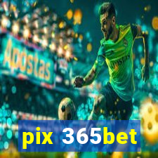 pix 365bet