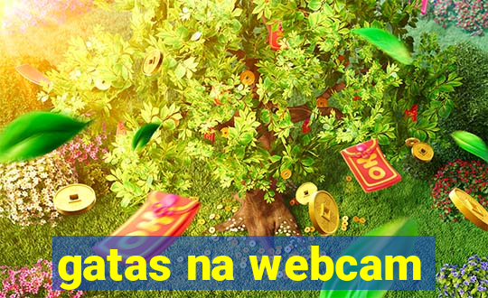 gatas na webcam