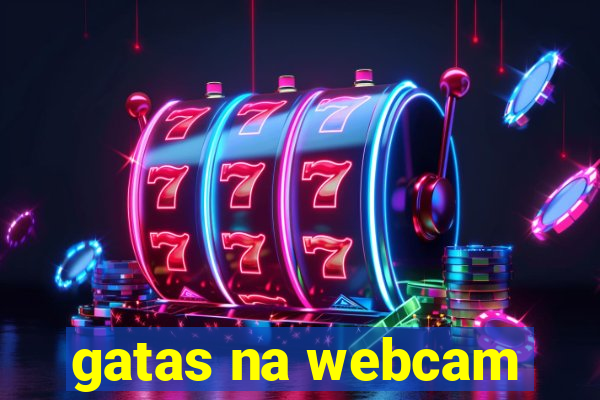 gatas na webcam