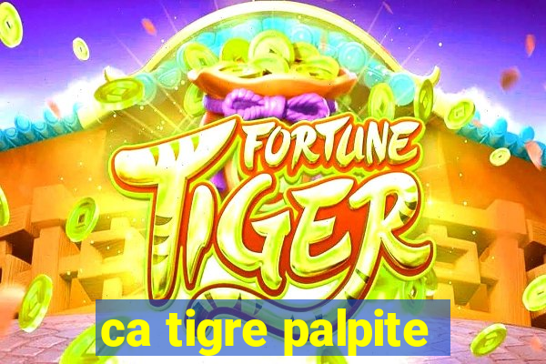ca tigre palpite