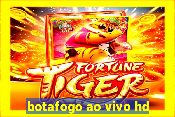 botafogo ao vivo hd