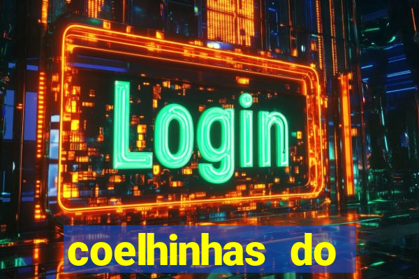 coelhinhas do brasil recife