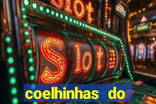 coelhinhas do brasil recife