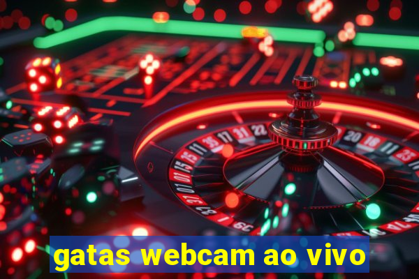 gatas webcam ao vivo